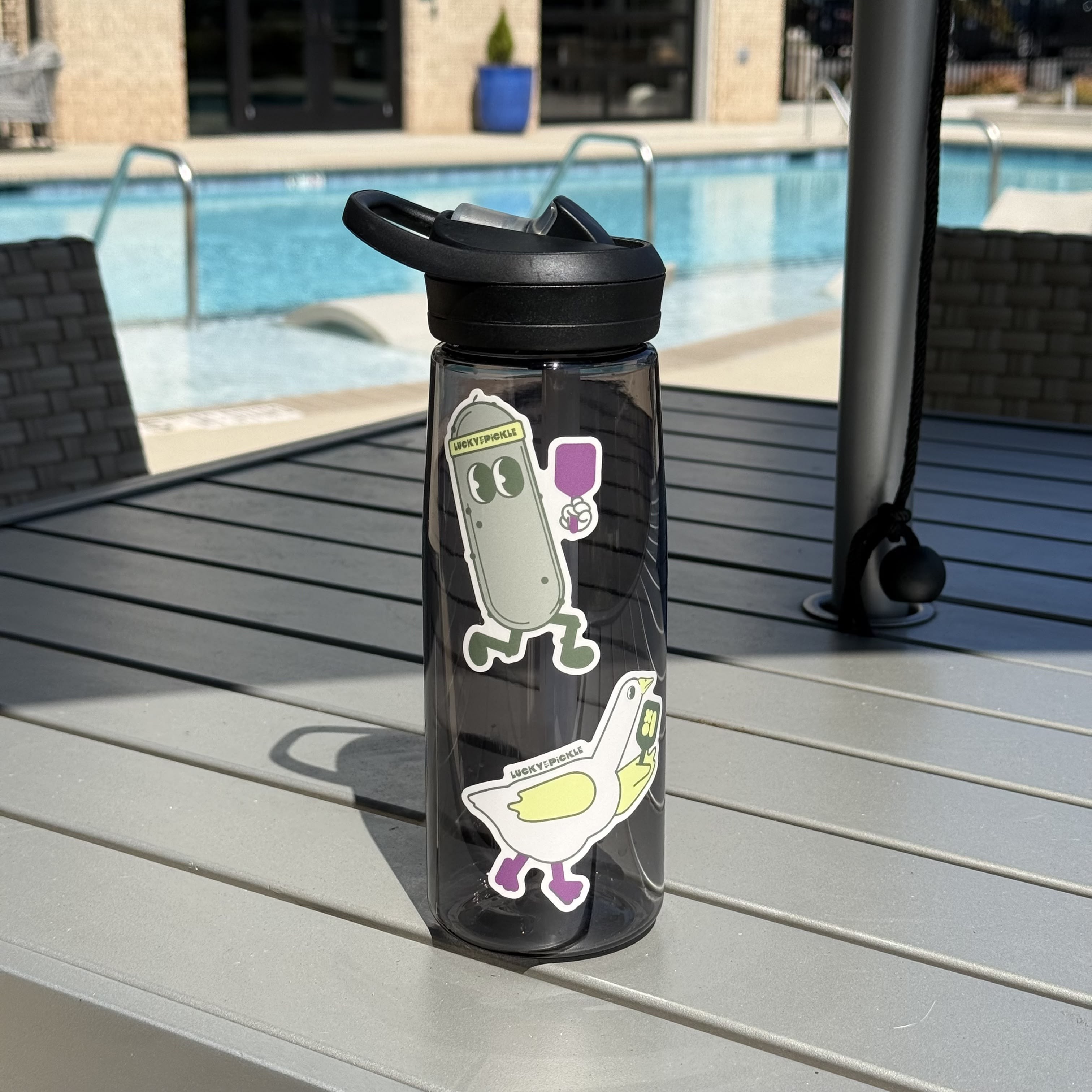 Water Bottle Stickers