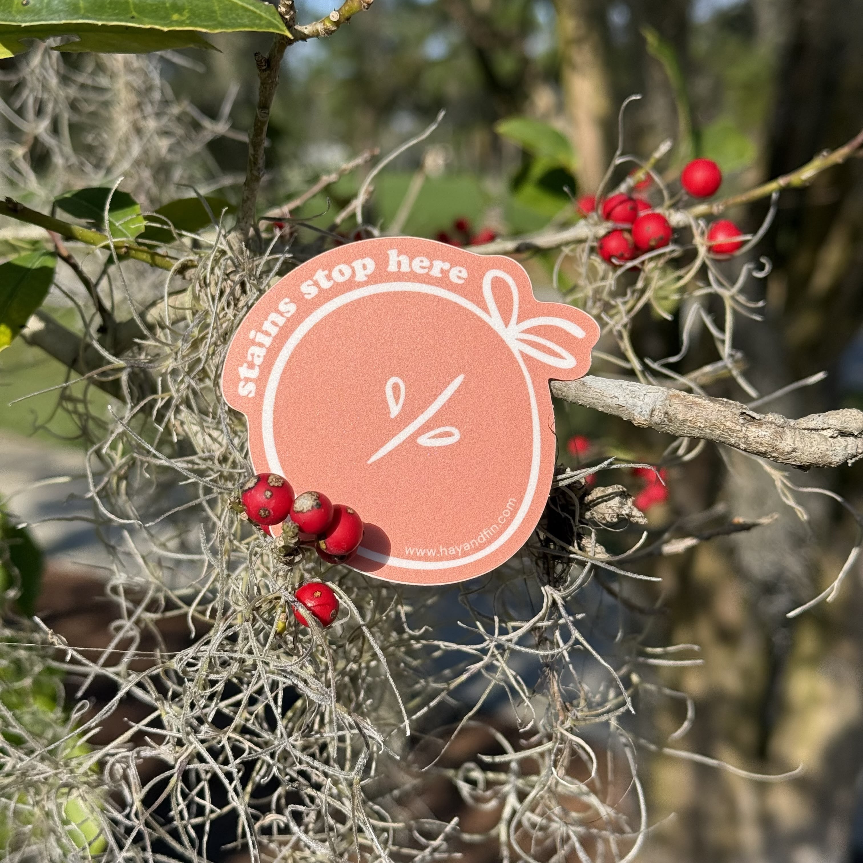 $49 Sticker Deal - 100 2.5" Stickers