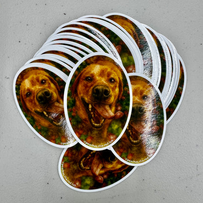 Oval / Euro Stickers